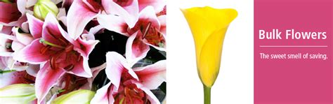 Get deals with coupon and discount code! Bulk Flowers - Flowers & Plants - BJ's Wholesale Club