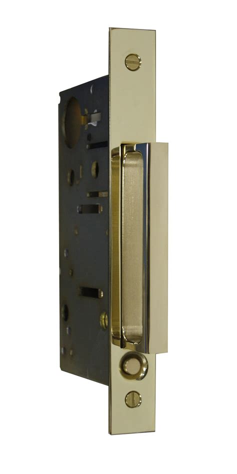 The crisp, clean line appearance adds to the overall look of the door while being functional. 2011PDP Pocket door edge pull | Accurate Lock and Hardware ...