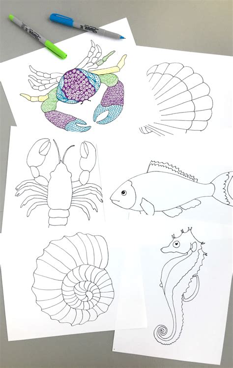My first pack of tangle starter pages were selling so well i made a second pack, or you can buy the whole pack of 12 for a discount. Sea Creatures Zentangle Starter Pages - Payhip