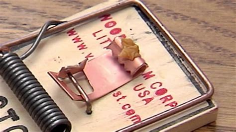 When you think of a mouse trap, you probably imagine a snap trap. Victor Metal Pedal Mouse Trap Instructional Video - YouTube