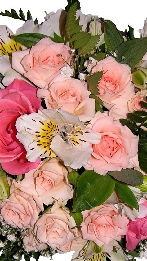 Scopri ricette, idee per la casa, consigli di stile e altre idee da provare. Free Flower Wallpaper For Iphone - Images Free Flower ...