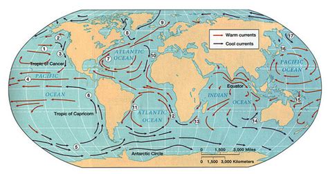 Ocean current, stream made up of horizontal and vertical components of the circulation system of distribution of ocean currents. Walt Whiteman's World: UPDATED: Wreckage of MH370 (?) surfaces