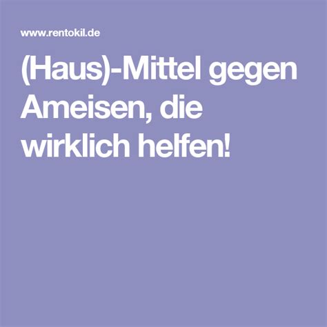 Haben die plagegeister bereits haus und garten eingenommen, muss aber nicht sofort zur chemischen keule gegriffen werden, um die kleinen biester wieder loszuwerden. (Haus)-Mittel gegen Ameisen, die wirklich helfen ...