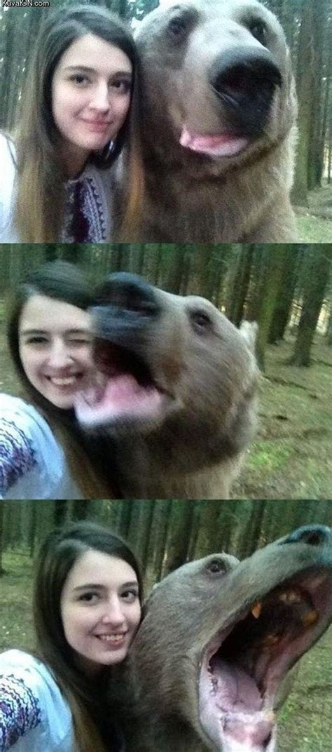 Some reddit videos have no sound or it might be an animated gif. Bear selfies in Russia because why not? : pics