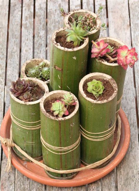 Swing and relax on this adorable bamboo swing. Diy Bamboo Planters (With images) | Bamboo planter, Bamboo ...