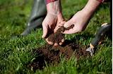 We did not find results for: How To Fix Clay Soil Before You Stop Gardening - A Green Hand