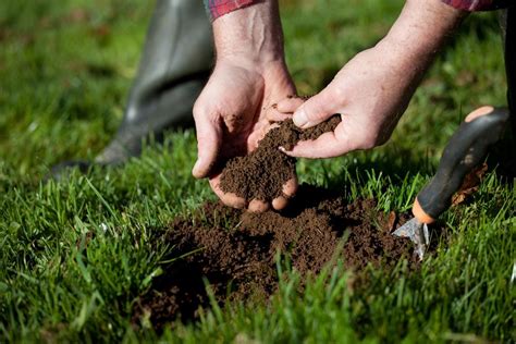 How do you fix clay? How To Fix Clay Soil Before You Stop Gardening - A Green Hand