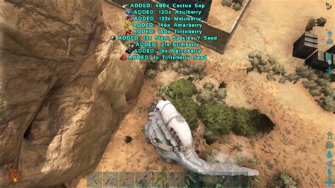 This is also how you pick up rocks and possibly berries, among other things. How to get Cactus Saps fast and easy - ARK Survival ...