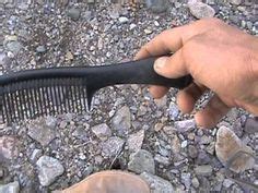 Even if you're just going for a casual walk, you'll need to look out for cactus plants with needles that can attach to your clothing and pierce your skin. 15 Best Cholla Cactus images | Cactus, Cactus craft ...