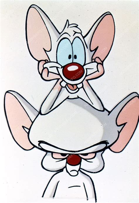 Pinky and the brain take a relaxing retreat at camp riverwood with a bunch of teenagers in their unit. animated cartoon characters TV Pinky and the Brain 35m ...