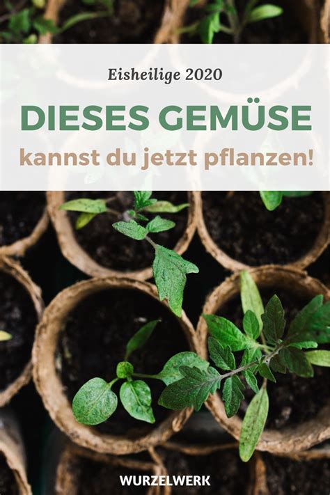 Doch wann sind die eisheiligen genau? Pin auf Gartengestaltung