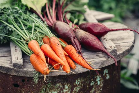 Ett semesterhus i slovakien innebär en semester i en sann pärla i östeuropa som bjuder på många olika upplevelser. Antiinflammatorisk mat i säsong - sommar - Super Synbiotics