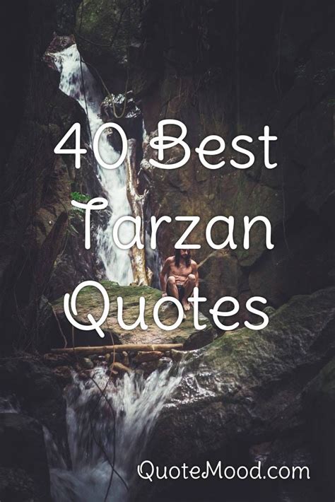 Tony goldwyn provided the voice of tarzan in the 1999 disney animated film. Pin on Quotes