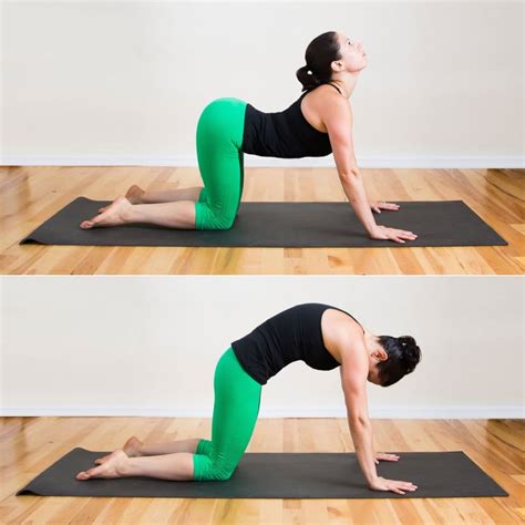 You can also perform this exercise in a chair with your feet flat on the floor and your hands on your knees, making it perfect for sneaking in a few stretches at work. Cat and Cow | Yoga Sequence to Relieve Lower Back Pain ...