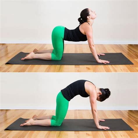 This exercise alternates between two positions to lengthen the spine and is a favourite of those who practice yoga for increasing flexibility in the spine, neck, and shoulders. Cat and Cow | Yoga Sequence to Relieve Lower Back Pain ...