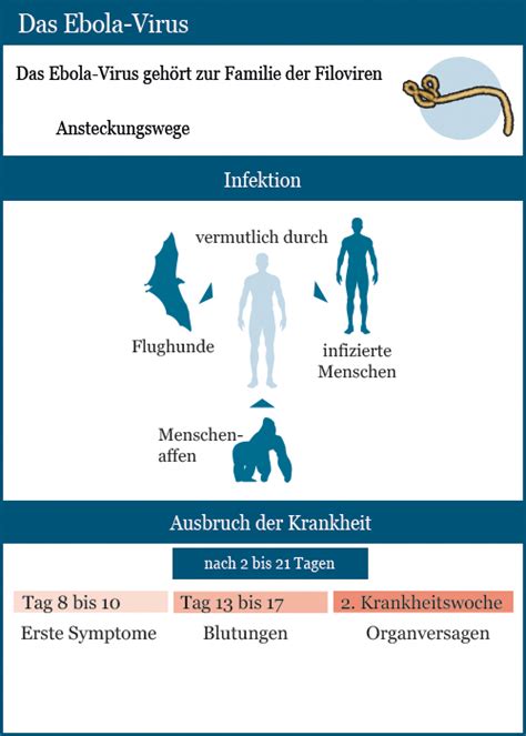 Ebola fieber ist eine virusinfektion. Das Ebola-Virus