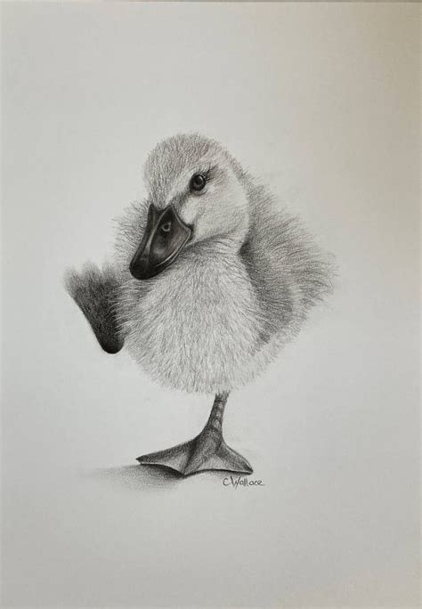 Search, discover and share your favorite cheeky grin gifs. Cheeky Duck Drawing in 2021 | Newborn art, Drawings, Animal drawings