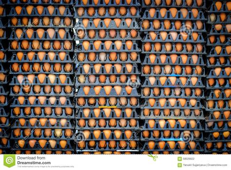 If you are eating a balanced diet, you only need to cut down on eggs if you have been told to do so by a gp or dietitian. Lots of eggs in farm stock photo. Image of container - 58026822