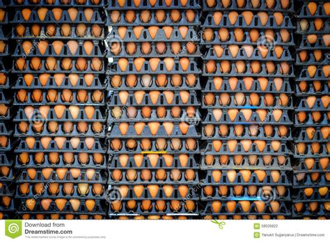 Two breakfasts for one week gets rid of 6. Lots of eggs in farm stock photo. Image of container ...