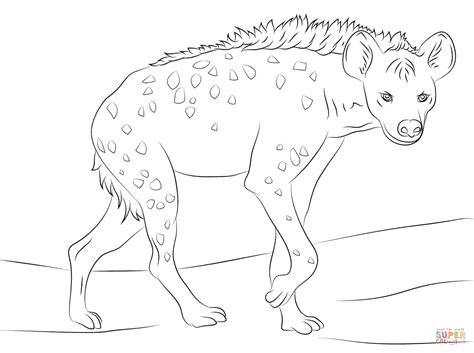 Download or print this amazing coloring page: Laughing Hyena Coloring Pages - Coloring Home