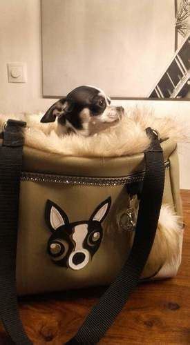 Wir finden für dich die besten und beliebtesten schnittmuster im internet. Chihuahuapullover Schnittmuster Nähen : Nahset Puppen Kleid Inkl Schnittmuster Freunde Im ...