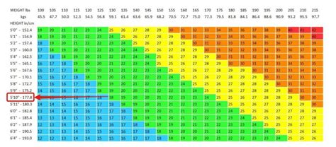 Domestic cats are often called 'house cats' when kept as indoor pets. The Truth About BMI Charts... (Isn't What You Think)