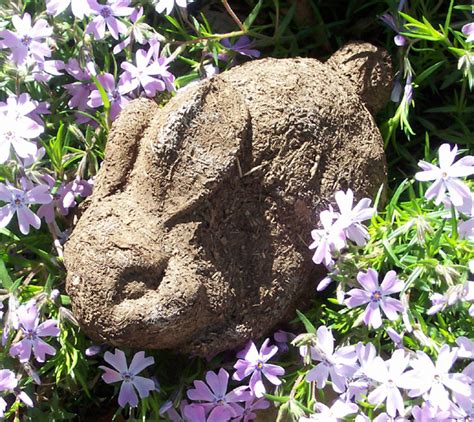 I have never had to deal with horse manure directly (i've always boarded my horse), and i never have known where it goes, but now i am moving to a house anyways, i really want to keep my pasture and stall clean, but what do i do with all that manure? Poop as Art: 3 Creative Ideas for Horse Manure Recycling ...