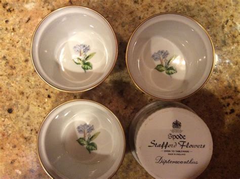 Shop stafford flowers (bone) at replacements, ltd., one of 460,000 new and retired dinnerware, crystal, silver, and collectible patterns, plus vintage estate jewelry & watches, tableware accessories, home décor, and more. 4 Spode Stafford Flowers Dipteracanthus Oven to Tableware ...