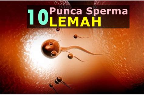 Apakah sudah ada gejala sakit yang. Sperma Yang Sihat | Women Online Magazine