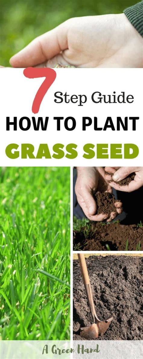 How To Plant Grass Seed: 7-Step Guide #grassseed #gardening #agreenhand #lawncar... - Modern ...