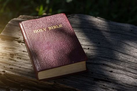What does bible say about overcoming fear? What the Bible Says About Marijuana | Leafbuyer
