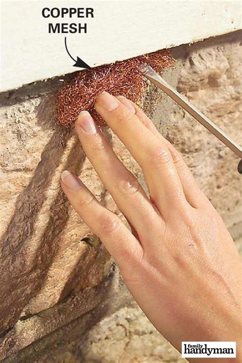 Buy diy spray foam insulation and get the best deals at the lowest prices on ebay! Brilliant Uses for Spray Foam: Keep Out Bugs | Spray foam, Diy home repair, Diy home improvement