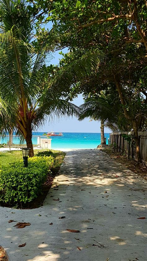 The parcel will normally be delivered to you (to the address that you provide to the seller). View of South China Sea from Redang Beach Resort at Pulau ...