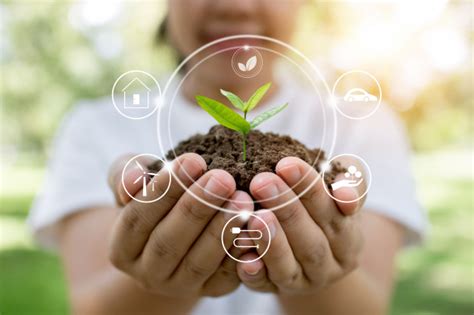 A seconda del fusto, per esempio, si possono dividere in alberi, arbusti, piante erbacee. Albero delle piante e innovazione del mondo di salvataggio ...