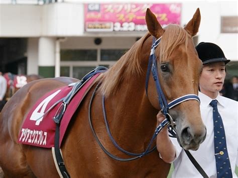 セフレ☆ふれんず セフレ紹介動画 大学生 咲良（さくら） 20歳. 【Dafabet】開幕から絶好調のメルセデスAMG!第4戦はハミルトンの ...