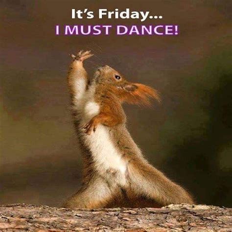 Borat is in the friday fun time party house. Pin by Kathleen Frederick on Daily for Deb | Friday humor ...