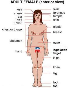 Female private part diagram : Four Signs of the Rapeocalypse: Why Women Should Take ...