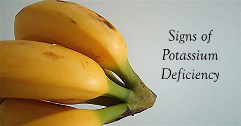 If a solution is not available, the query. 6 Alarming Symptoms of Low Potassium Levels in the Body