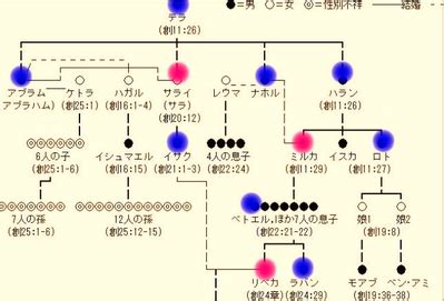 ３１年間続いた大学入試センター試験に代わる「大学入学共通テスト」が１６日から行われる。 新制度になって最初の試験とあって受験生の不安はただでさえ大きい。 &w スリランカ 光の島の原石たち. セムからテラへ、テラの系図が意味するもの - 牧師の書斎