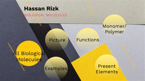 Fill building dna gizmo assessment answers: Biological Molecules Template by Hassan Rizk