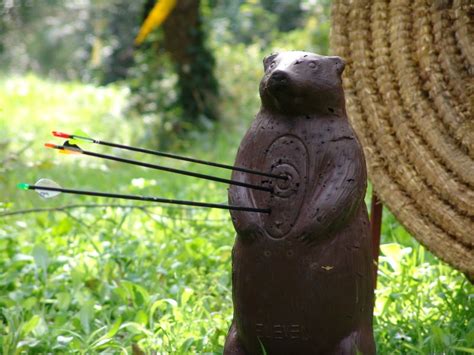 Archery ist der englische begriff für bogenschießen und bezeichnet eine praktik der nutzung eines bogens zum abschießen von pfeilen. Parte domenica la stagione del tiro con l'arco 3D in ...