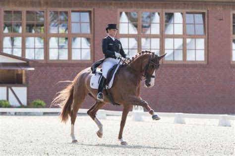 Jun 27, 2021 · die dressurreiterin isabell werth reitet auf bella rose in der grand prix kür. Bella Rose für Isabell Werth erste Wahl | reitturniere.de ...