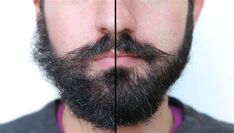 While you may suffer a bad case of beard envy, here's the good news: Most Essential Tips on How to Trim Your Beard Properly ...