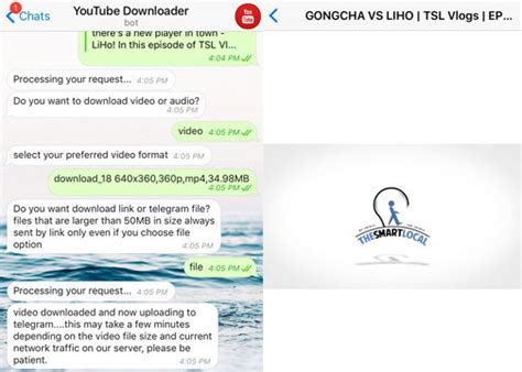 I will help you download any youtube videos in almost every possible resolution including 1080p,720p,480p. 10 Useful Telegram Groups And Bots That Will Improve Every ...