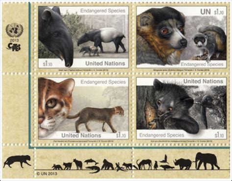 On one side, a very interesting wild cat. Rainbow Stamp Club: Endangered species on new UN stamps..