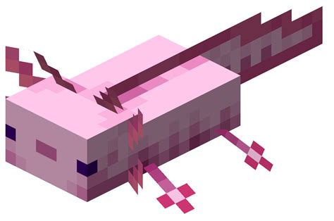 They may look adorable, but minecraft axolotls can pack a punch! The new axolotl are cute! : Minecraft