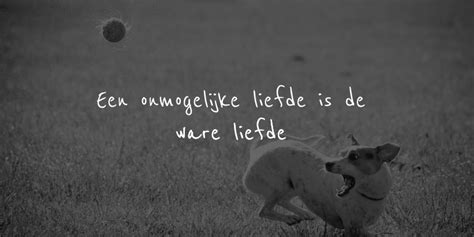 It looks like we don't have any quotes for this title yet. Liefdequote : Een onmogelijke liefde is de ware liefde