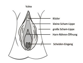 Diese öffnete den abszess mit einer nadel. profamilia.de: Bei der Frau