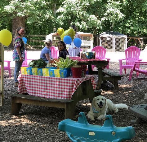 The peaceable kingdom petting zoo is a traveling petting zoo that has brought smiles to faces both young and old in bucks county, montgomery we also serve new jersey! Petting Zoo Birthday Party (Dengan gambar)