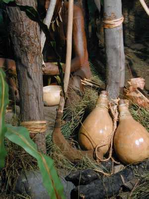 These are normally found on birds, bird habitats, or trees. The Three Sisters - Activities